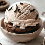 Chocolate Cookie & Coconut Ice Cream Sandwich
