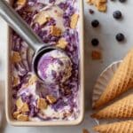 Blueberry Cheesecake Cottage Cheese Ice Cream Recipe