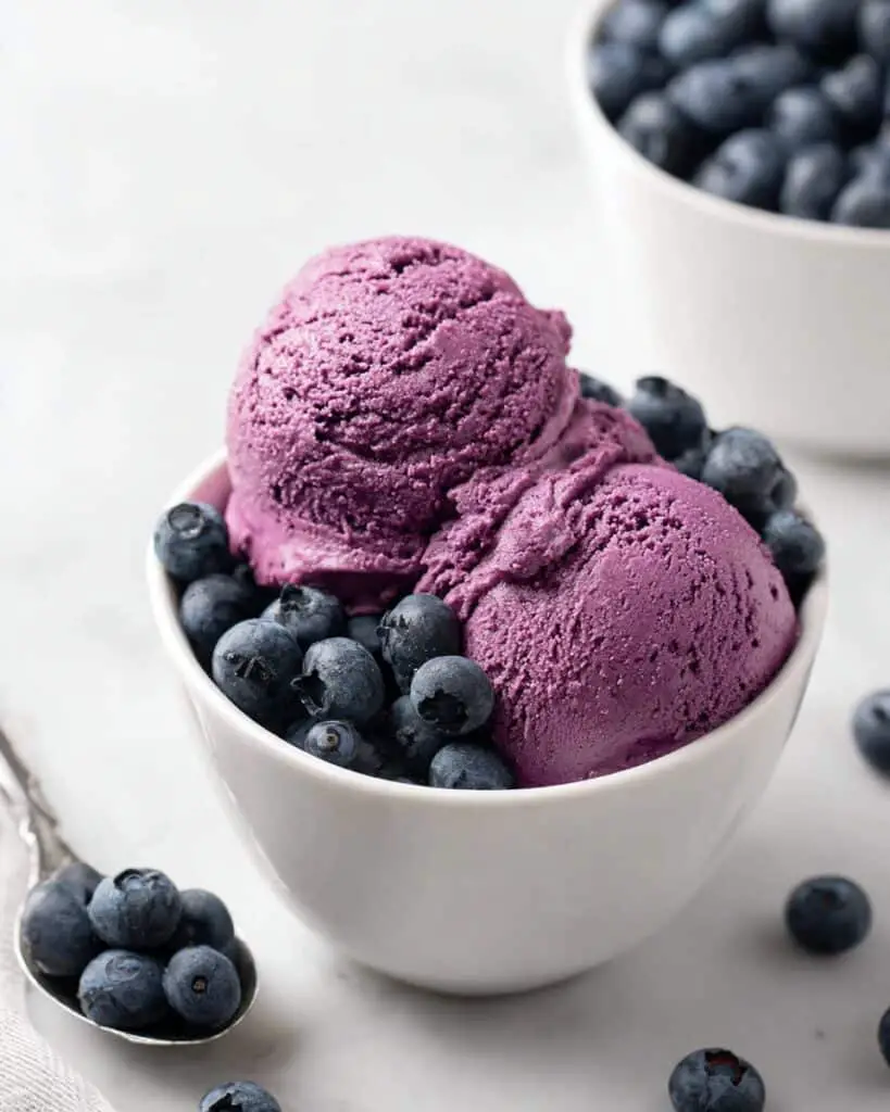 3-Ingredient Blueberry Frozen Yogurt Recipe