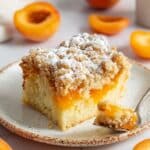 Vegan Apricot Crumb Cake Recipe