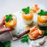 Mango Coconut Milk Tropical Smoothie Recipe