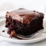 Crazy Chocolate Cake with Rich Cocoa Frosting Recipe