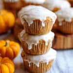 Pumpkin Doughnut Muffins Recipe