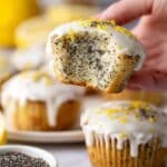 Lemon Poppy Seed Muffins Recipe