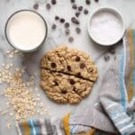 Single Serve Vegan Oatmeal Chocolate Chip Cookie Recipe