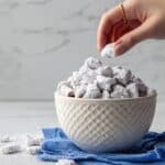 Cinnamon Toast Crunch Puppy Chow Recipe