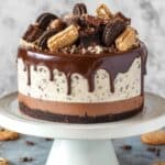 Oreo Brookie Ice Cream Cake Recipe