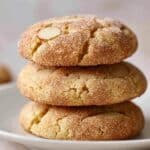 Apple Snickerdoodles Recipe