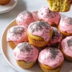 Blood Orange Poppy Seed Muffins Recipe
