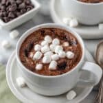 Hot Chocolate Mug Cake Recipe