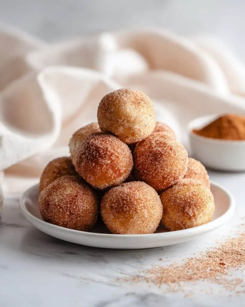 Air Fryer Donut Holes with Cinnamon Sugar Recipe