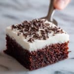 Chocolate Zucchini Cake Recipe