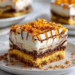 Chocolate Peanut Butter Lasagna Recipe